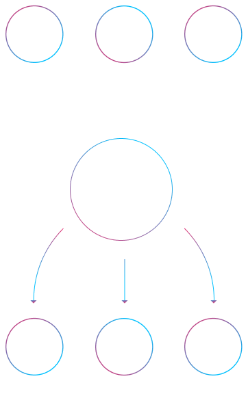 <p>What does <em>Beetle</em> do?</p>