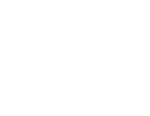 Beetle