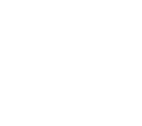 Gecko